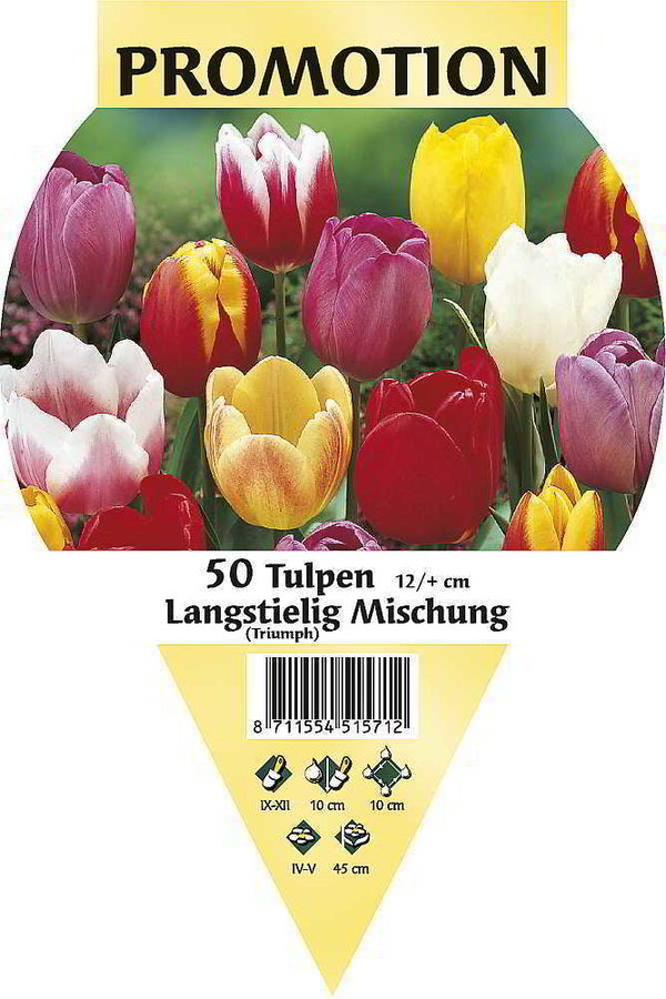 980600 Super-Promotion Großpackungen Tulpen