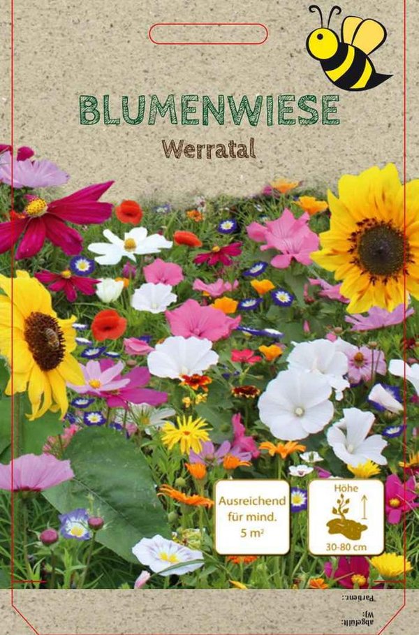 398682P Blumenwiese "Werratal" in 5 qm Bunttüte