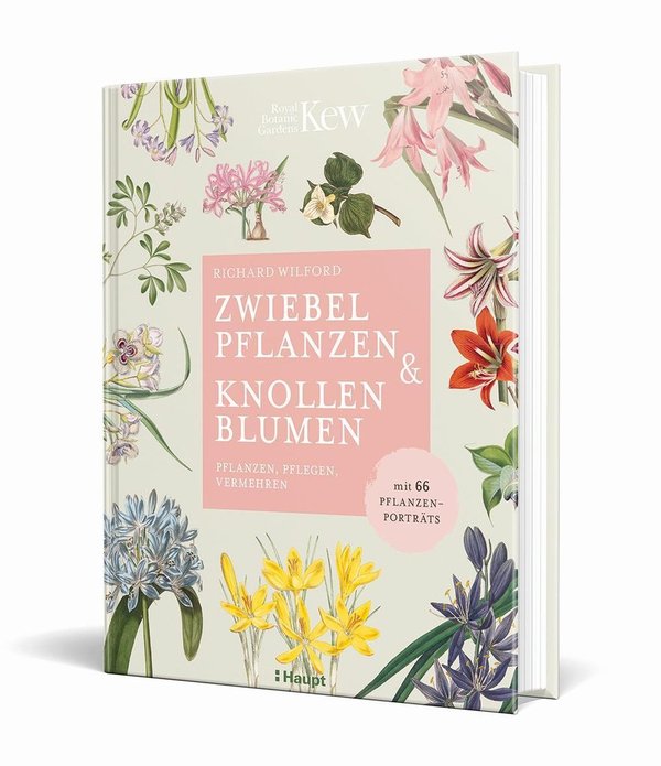 Buch "Zwiebelpflanzen & Knollenblumen"